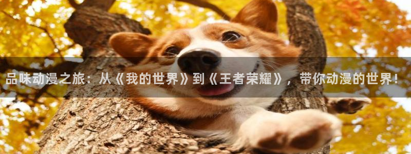 拷贝漫画 copymanager.ory网站：品味动漫之旅：从《我的世界》到《王者荣耀》，带你动漫的世界！