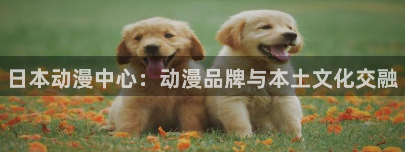 age动漫正版网：日本动漫中心：动漫品牌与本土文化交融