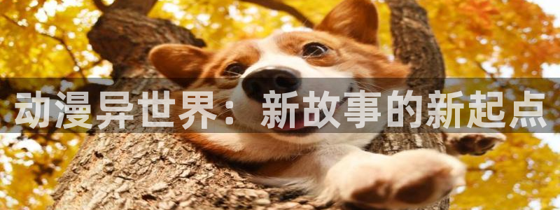 age动漫官网樱花动漫：动漫异世界：新故事的新起点