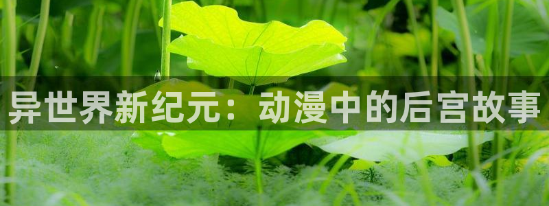 age樱花动漫：异世界新纪元：动漫中的后宫故事