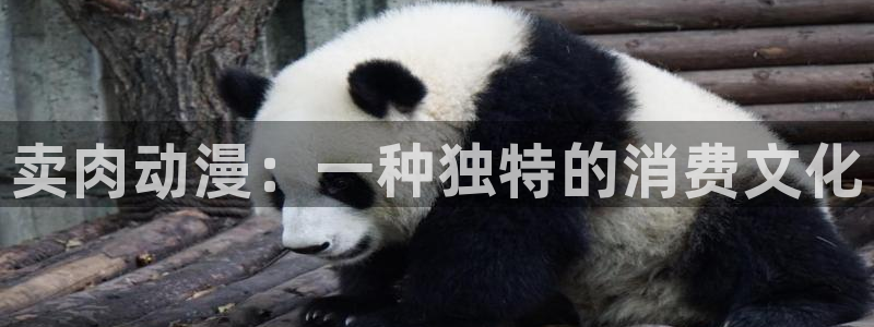age动漫官网在线入口：卖肉动漫：一种独特的消费文化