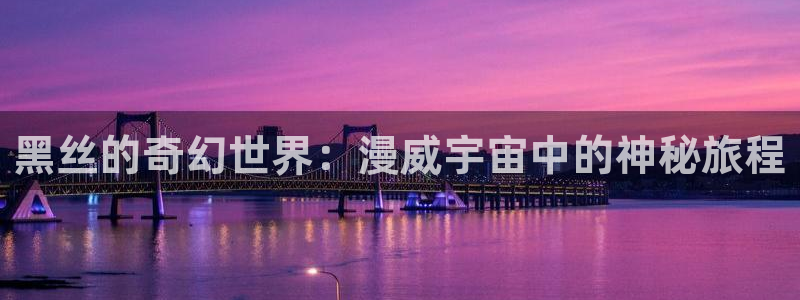 age动漫网上看：黑丝的奇幻世界：漫威宇宙中的神秘旅程
