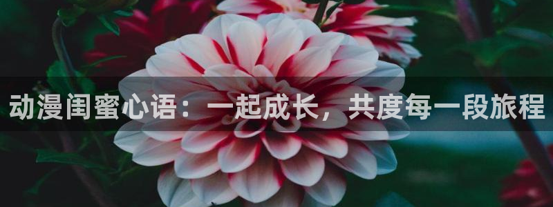 age樱花动漫：动漫闺蜜心语：一起成长，共度每一段旅程