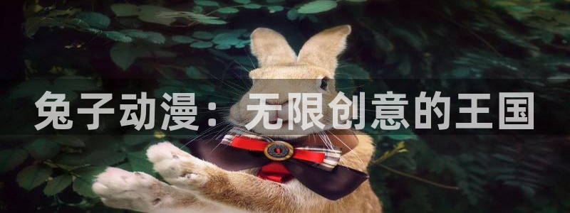 age动漫官网入口老版本：兔子动漫：无限创意的王国