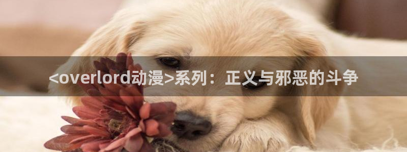 age动漫官网网址：<overlord动漫>系列：正义与邪恶的斗争