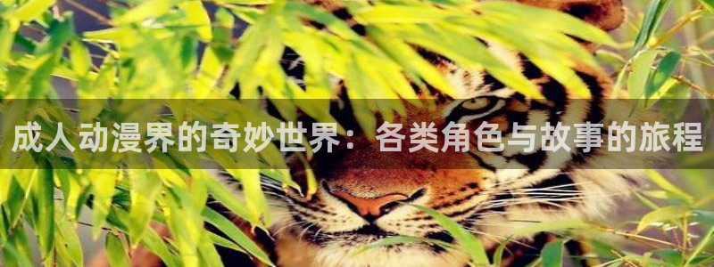 age动漫下载：成人动漫界的奇妙世界：各类角色与故事的旅程